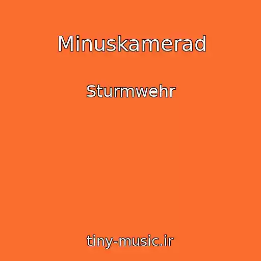 کاور آهنگ Minuskamerad از Sturmwehr