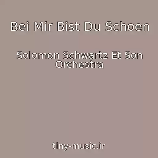 کاور آهنگ Bei Mir Bist Du Schoen از Solomon Schwartz Et Son Orchestra