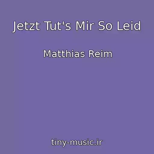 کاور آهنگ Jetzt Tut's Mir So Leid از Matthias Reim