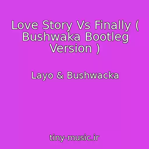 کاور آهنگ Love Story Vs Finally ( Bushwaka Bootleg Version ) از Layo & Bushwacka