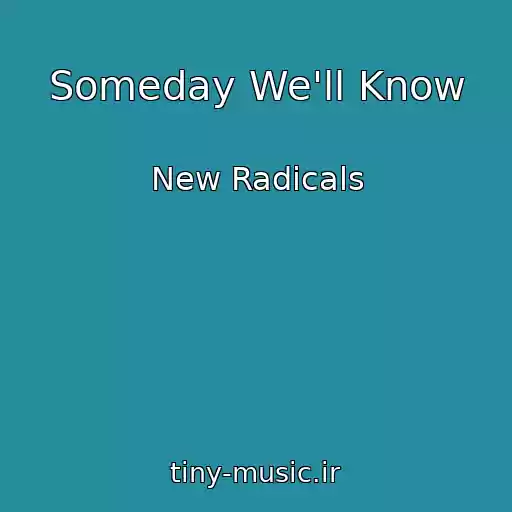 کاور آهنگ Someday We'll Know از New Radicals