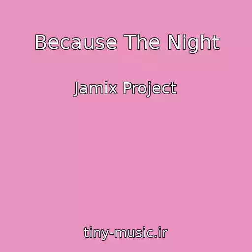 کاور آهنگ Because The Night از Jamix Project