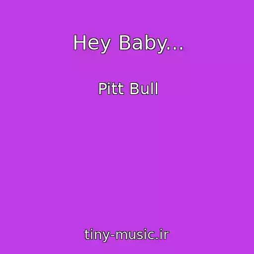 کاور آهنگ Hey Baby... از Pitt Bull