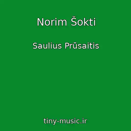 کاور آهنگ Norim Šokti از Saulius Prūsaitis