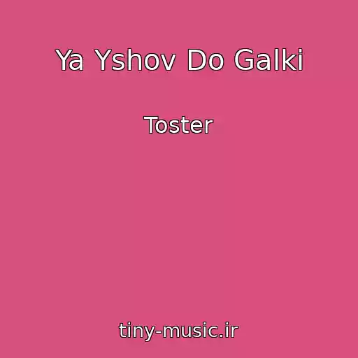 کاور آهنگ Ya Yshov Do Galki از Toster