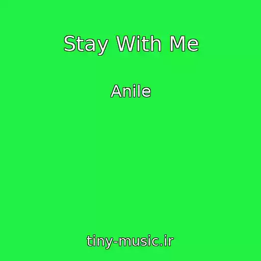 کاور آهنگ Stay With Me از Anile