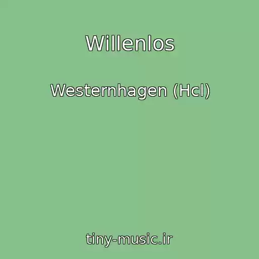 کاور آهنگ Willenlos از Westernhagen (Hcl)