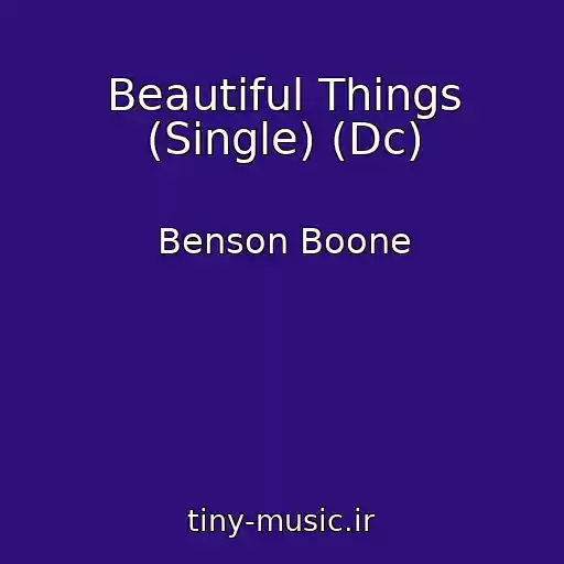 کاور آهنگ Beautiful Things (Single) (Dc) از Benson Boone