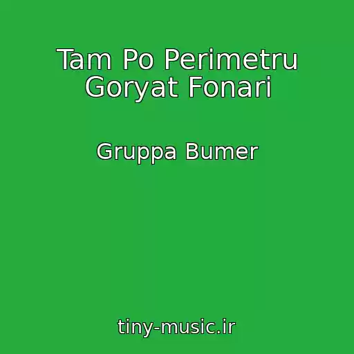 کاور آهنگ Tam Po Perimetru Goryat Fonari از Gruppa Bumer