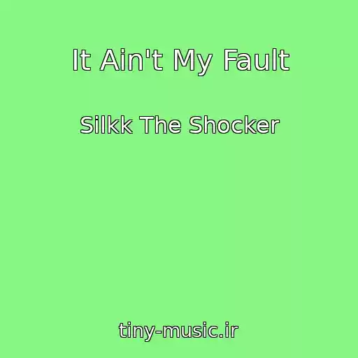کاور آهنگ It Ain't My Fault از Silkk The Shocker