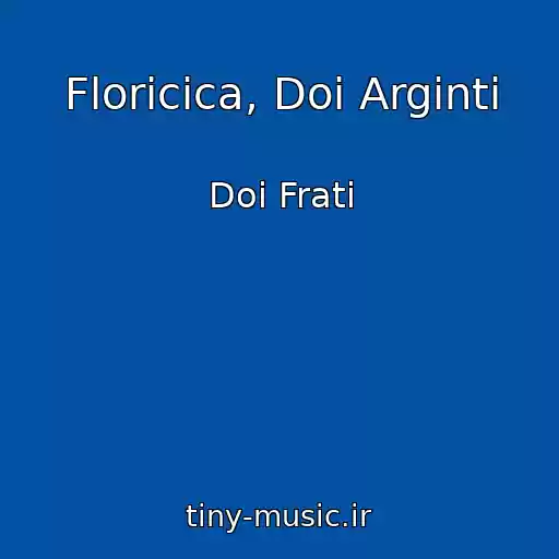 کاور آهنگ Floricica, Doi Arginti از Doi Frati
