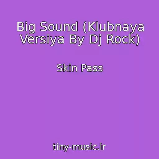 کاور آهنگ Big Sound (Klubnaya Versiya By Dj Rock) از Skin Pass