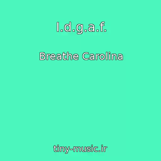 کاور آهنگ I.d.g.a.f. از Breathe Carolina
