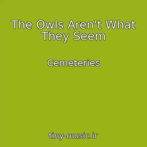 کاور آهنگ The Owls Aren't What They Seem از Cemeteries