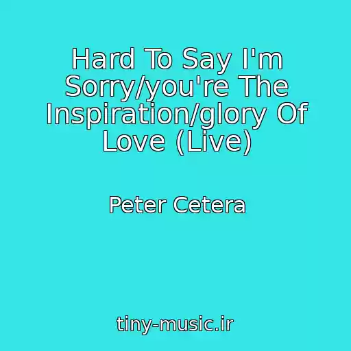 کاور آهنگ Hard To Say I'm Sorry/you're The Inspiration/glory Of Love (Live) از Peter Cetera