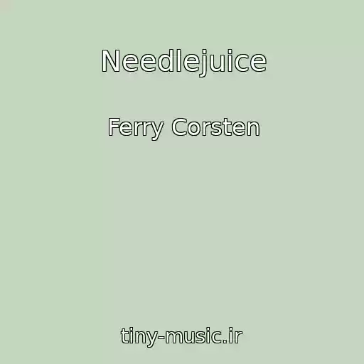 کاور آهنگ Needlejuice از Ferry Corsten