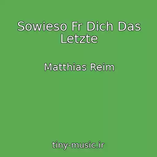 کاور آهنگ Sowieso Fr Dich Das Letzte از Matthias Reim