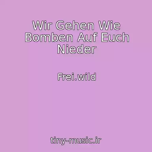 کاور آهنگ Wir Gehen Wie Bomben Auf Euch Nieder از Frei.wild