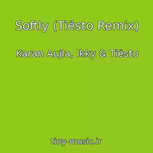 کاور آهنگ Softly (Tiësto Remix) از Karan Aujla, Ikky & Tiësto