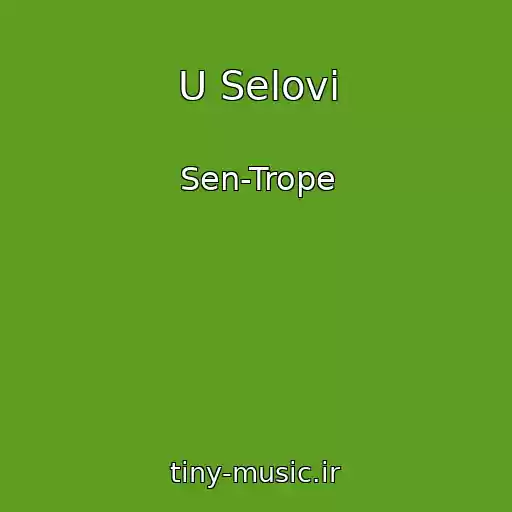 کاور آهنگ U Selovі از Sen-Trope