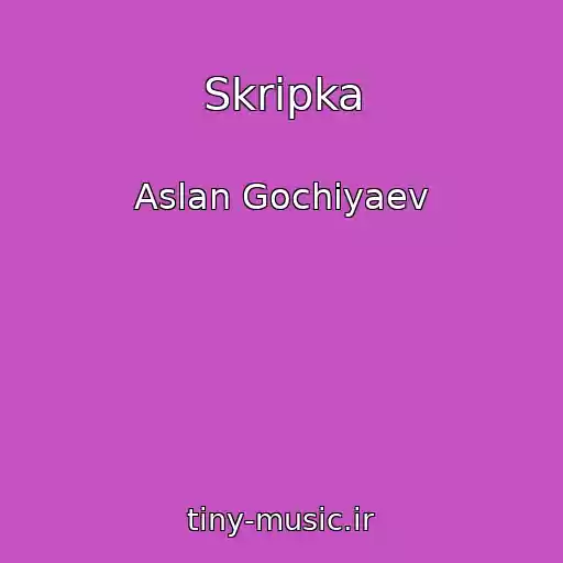 کاور آهنگ Skripka از Aslan Gochiyaev