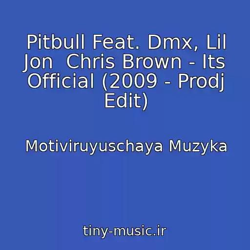 کاور آهنگ Pitbull Feat. Dmx, Lil Jon  Chris Brown - Its Official (2009 - Prodj Edit) از Motiviruyuschaya Muzyka
