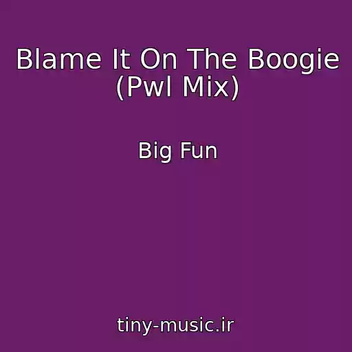 کاور آهنگ Blame It On The Boogie (Pwl Mix) از Big Fun