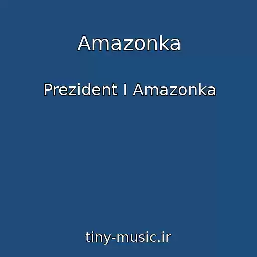 کاور آهنگ Amazonka از Prezident I Amazonka