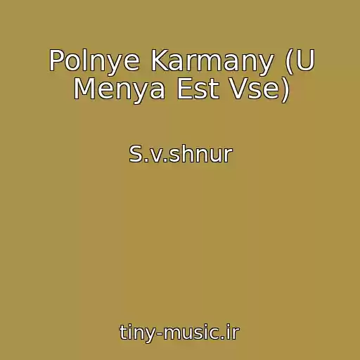 کاور آهنگ Polnye Karmany (U Menya Est Vse) از S.v.shnur