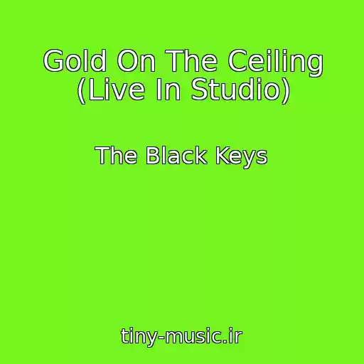 کاور آهنگ Gold On The Ceiling (Live In Studio) از The Black Keys