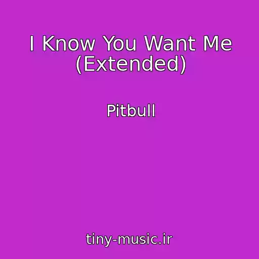 کاور آهنگ I Know You Want Me (Extended) از Pitbull
