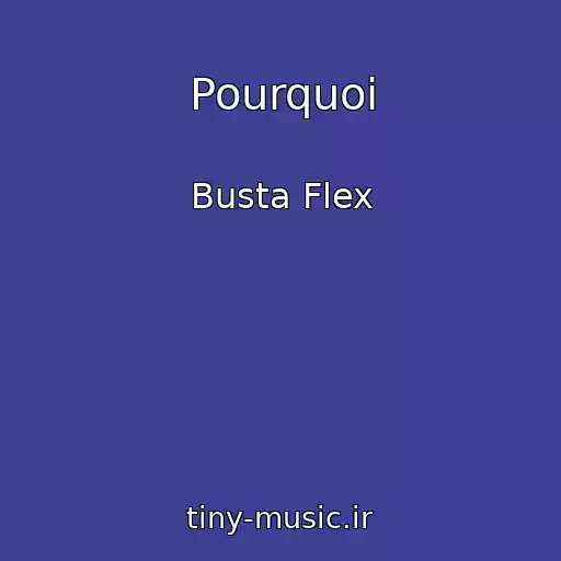 کاور آهنگ Pourquoi از Busta Flex