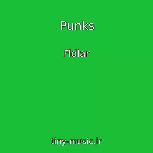 کاور آهنگ Punks از Fidlar