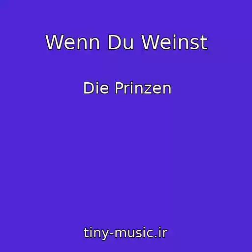 کاور آهنگ Wenn Du Weinst از Die Prinzen