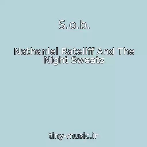 کاور آهنگ S.o.b. از Nathaniel Rateliff And The Night Sweats