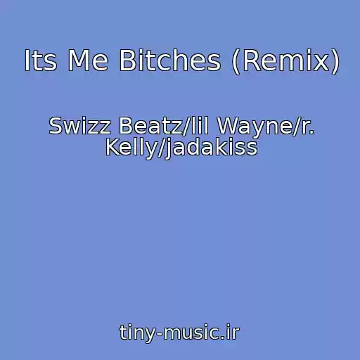 کاور آهنگ Its Me Bitches (Remix) از Swizz Beatz/lil Wayne/r. Kelly/jadakiss