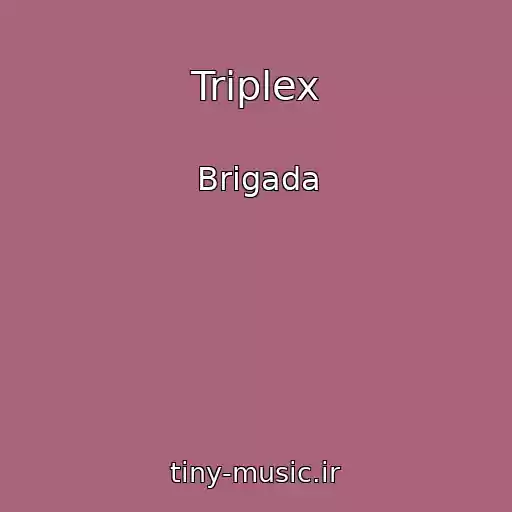 کاور آهنگ Triplex از Brigada