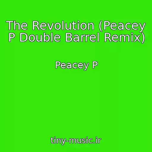 کاور آهنگ The Revolution (Peacey P Double Barrel Remix) از Peacey P