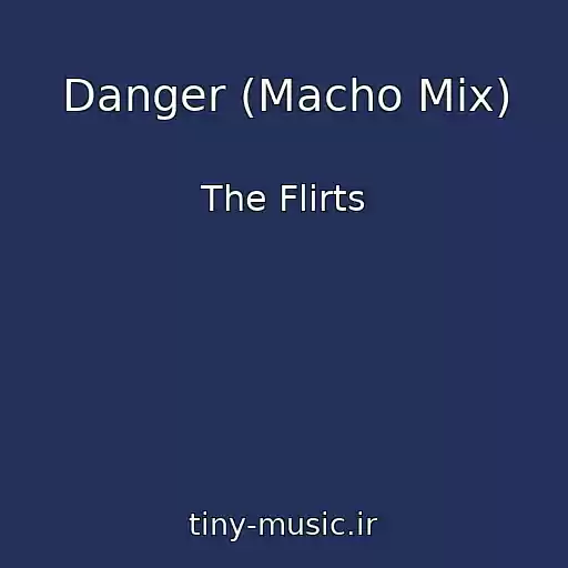 کاور آهنگ Danger (Macho Mix) از The Flirts