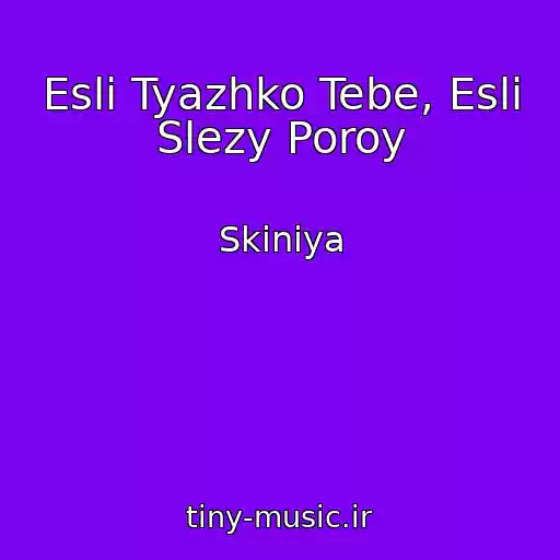 کاور آهنگ Esli Tyazhko Tebe, Esli Slezy Poroy از Skiniya