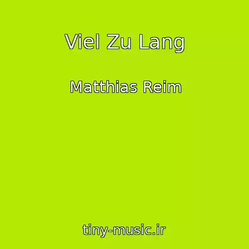 کاور آهنگ Viel Zu Lang از Matthias Reim