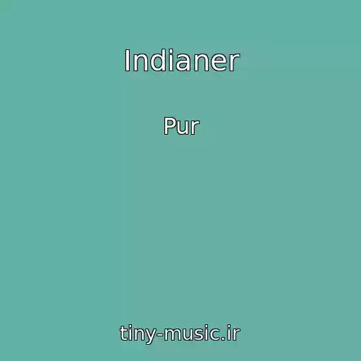کاور آهنگ Indianer از Pur
