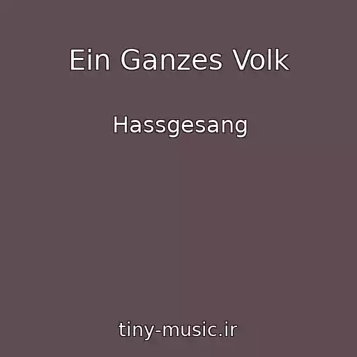 کاور آهنگ Ein Ganzes Volk از Hassgesang
