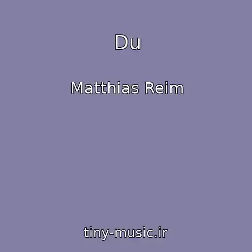 کاور آهنگ Du از Matthias Reim