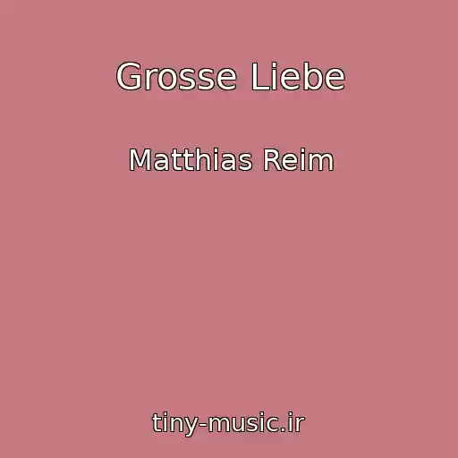 کاور آهنگ Grosse Liebe از Matthias Reim