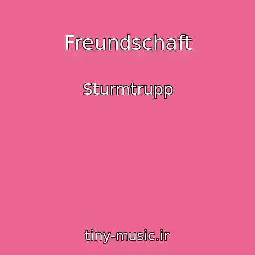 کاور آهنگ Freundschaft از Sturmtrupp