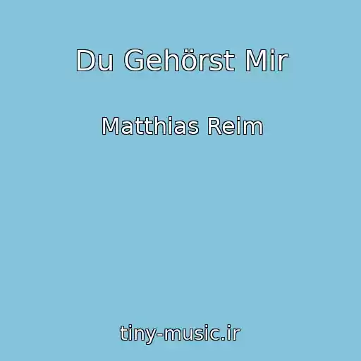 کاور آهنگ Du Gehörst Mir از Matthias Reim