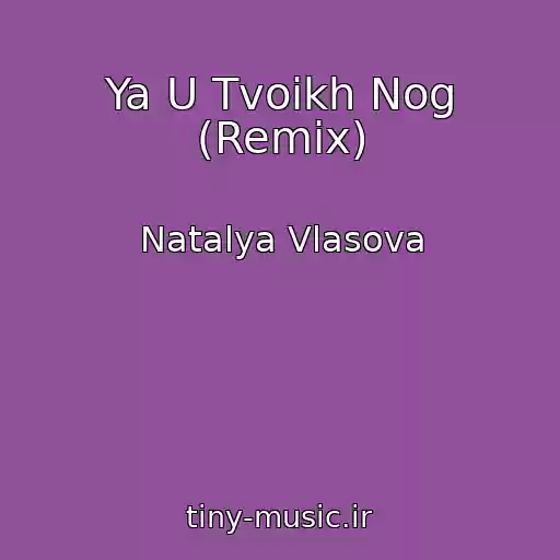 کاور آهنگ Ya U Tvoikh Nog (Remix) از Natalya Vlasova