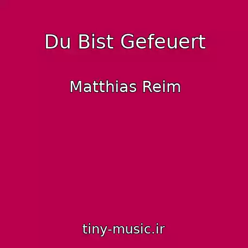 کاور آهنگ Du Bist Gefeuert از Matthias Reim