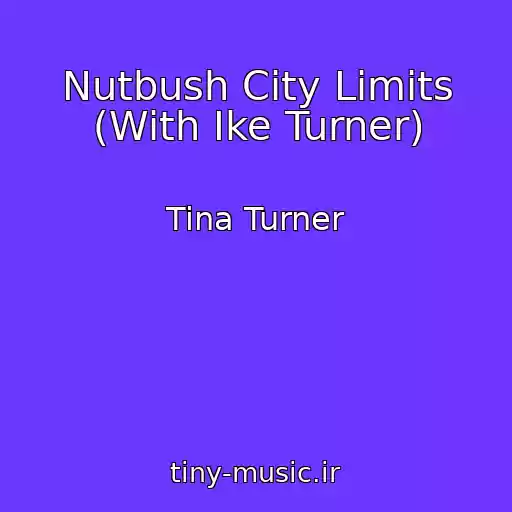 کاور آهنگ Nutbush City Limits (With Ike Turner) از Tina Turner